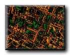 gitter4.jpg