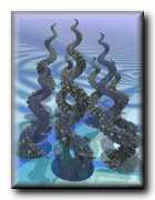 spiral05.jpg
