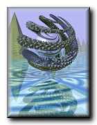 spiral06.jpg